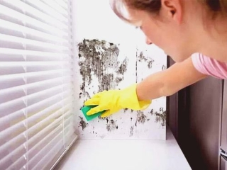 CÁCH XỬ LÝ VẾT BẨN TRÊN TƯỜNG